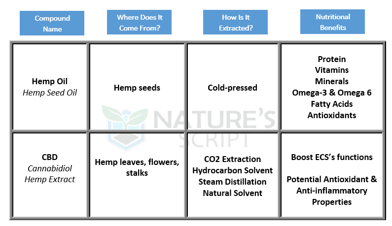 Hemp Oil vs. CBD Oil