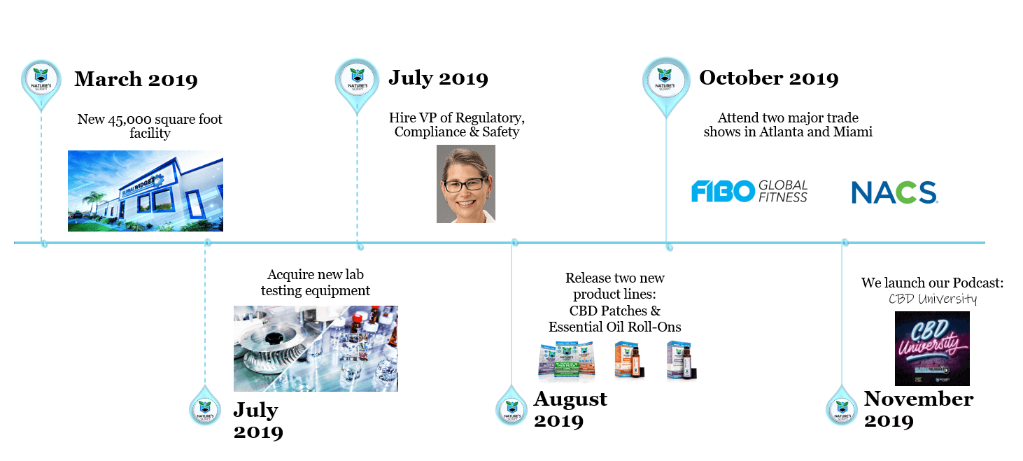 2019 Year in Review Timeline 