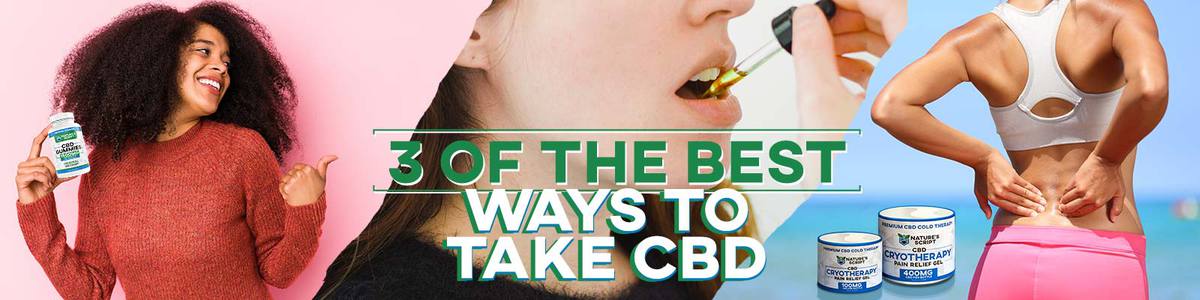 Best Ways to Take CBD Banner