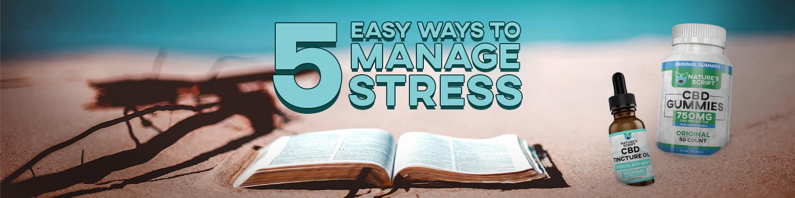 5 Ways to Manage Stress